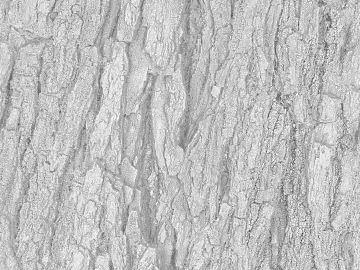 Black and White Bump texture (ID:ffabg97827)