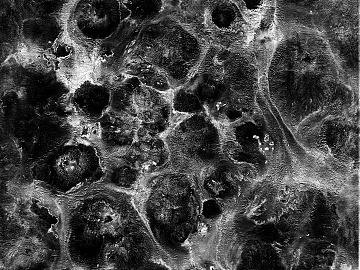 black and white smudge texture (ID:ffach571361)
