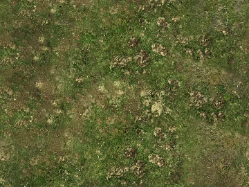 Turf texture (ID:ffach954086)
