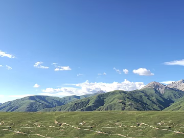 Wild Scenery texture (ID:ffaeg41972)