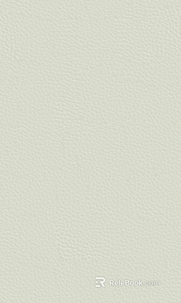 Coarse-grain leather texture
