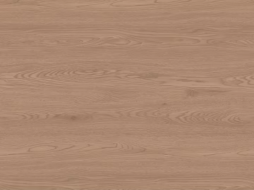 Light Brown Original Wood Grain Home Decoration Floor 3d model