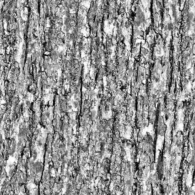 bark texture