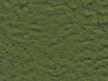 Turf texture (ID:ffabg82377)