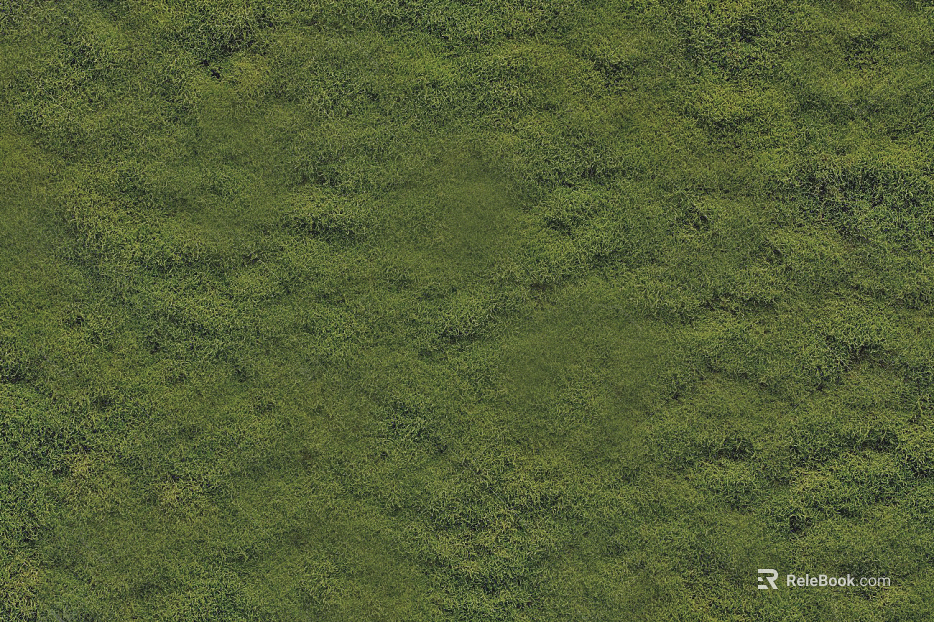 Turf texture
