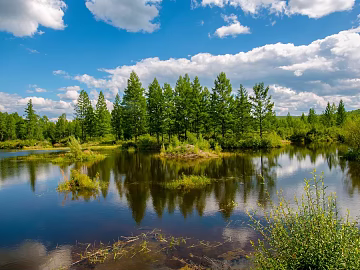 Wild Scenery texture (ID:ffabg39381)