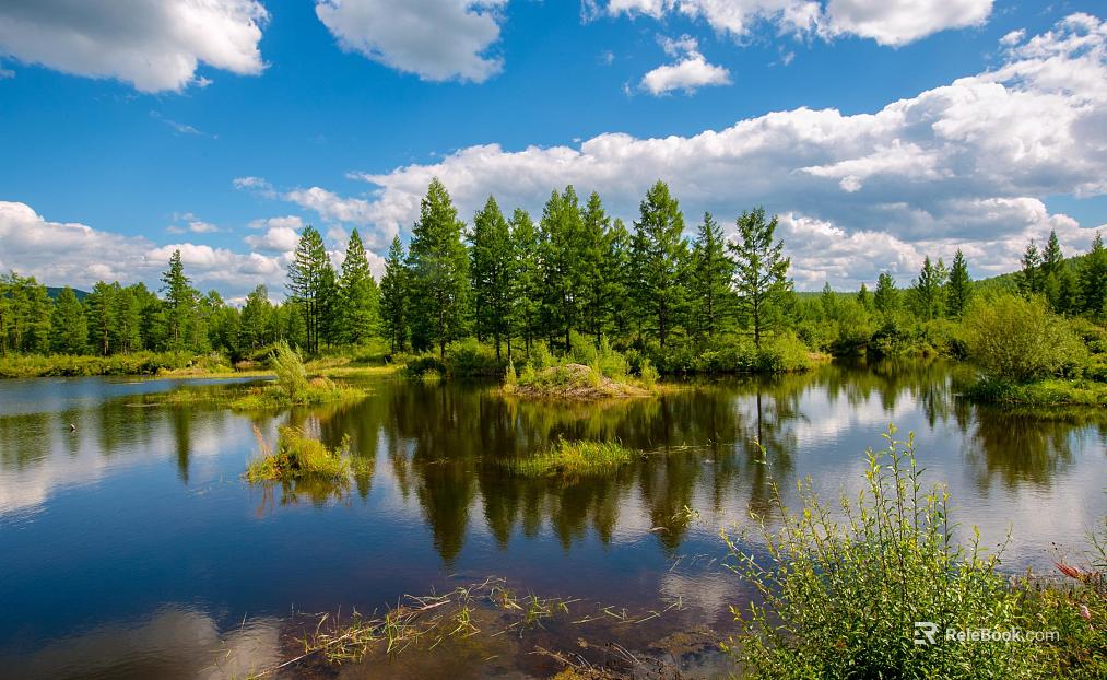 Wild Scenery texture