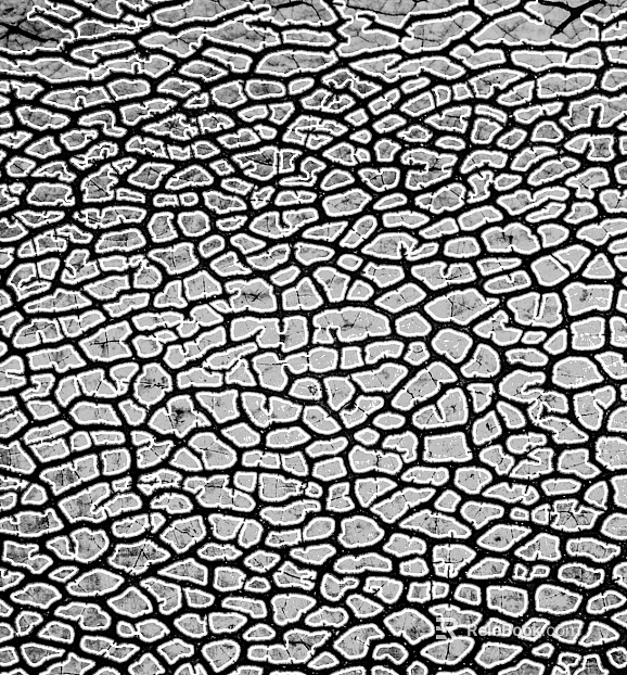 Highlight Mask texture