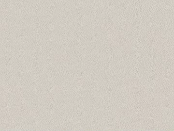 Coarse-grain leather texture (ID:ffach495706)