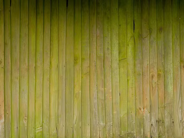 Wooden plank flooring green texture (ID:ffagg52171)