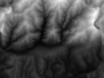 Black and White Bump 3d model