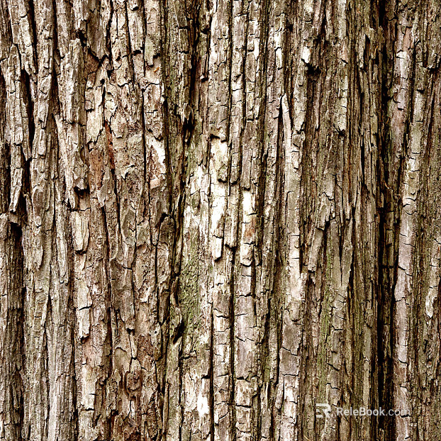 bark texture