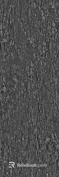 bark texture