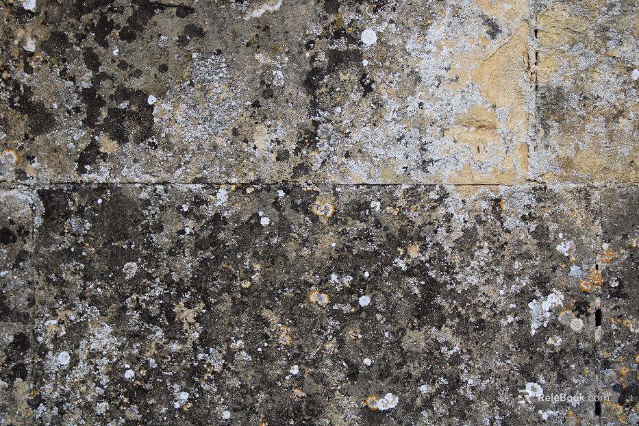 Stone texture