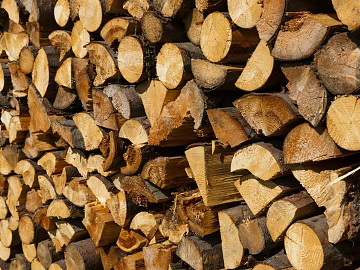 Trunk section texture (ID:ffabg05840)