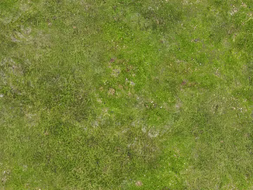 Turf texture (ID:ffach424561)
