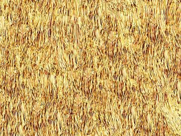 Thatch texture (ID:ffacg61031)