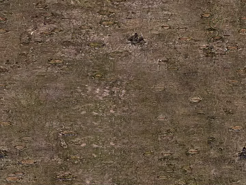 bark texture (ID:ffaeg99032)