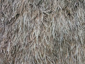 Thatch texture (ID:ffaeg95979)