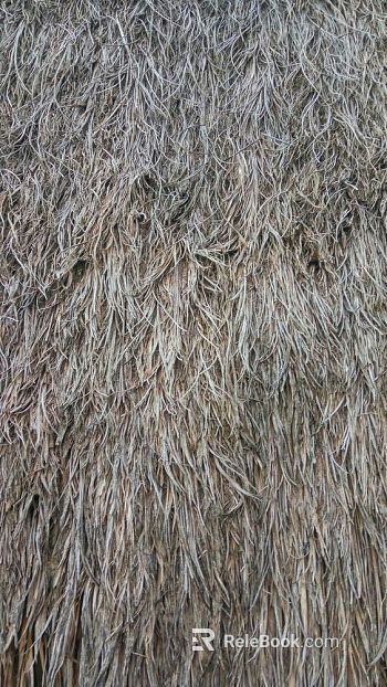 Thatch texture