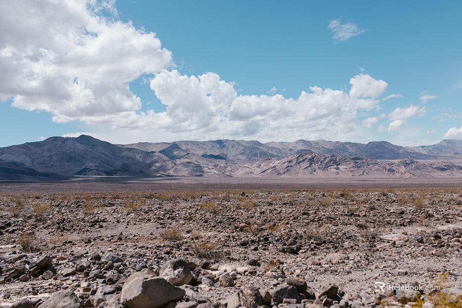 Wild Scenery texture