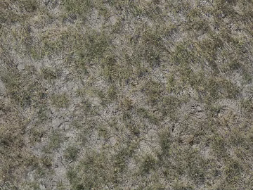 Turf ground texture (ID:ffabf9784)