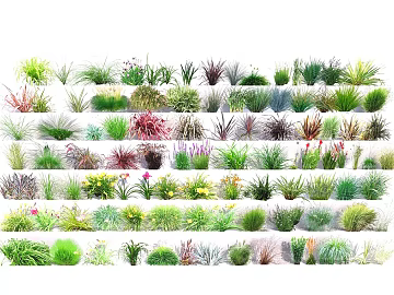 Multi-category Herbaceous Plants Landscape texture (ID:ffaeh974236)