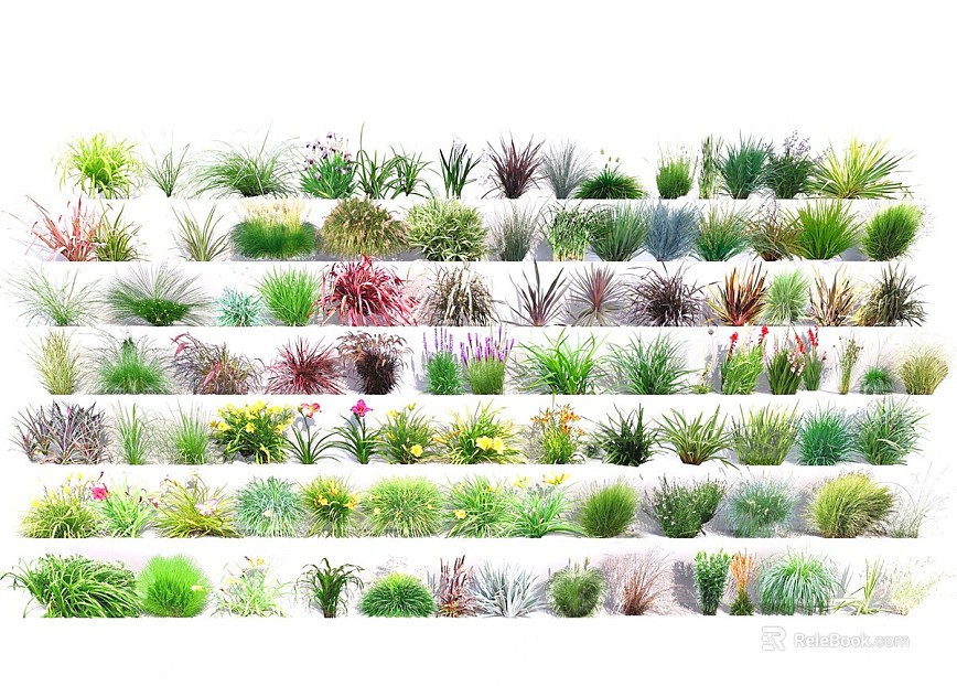 Multi-category Herbaceous Plants Landscape texture