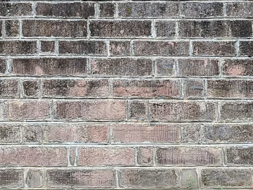 Brick wall texture (ID:ffach856146)