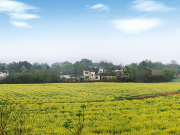 Pastoral scenery texture (ID:ffach707575)