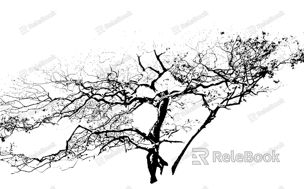 black and white tree shadow texture