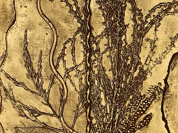 Metal relief texture (ID:ffaag58114)