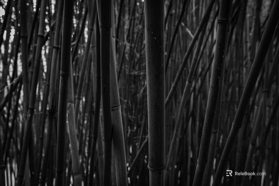 black and white painting texture