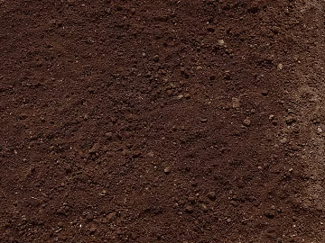 Mud texture (ID:ffaff5492)