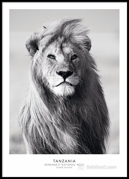 Animal painting texture