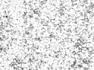 Black and white stone map texture (ID:ffaef5121)