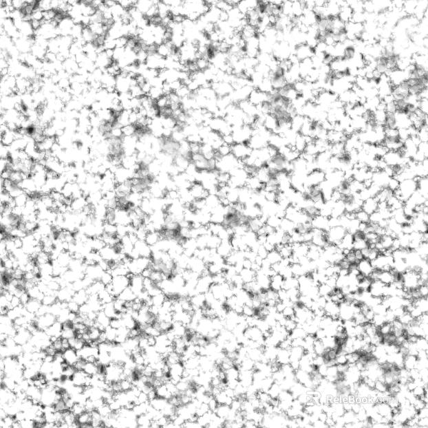Black and white stone map texture