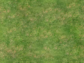 Turf texture (ID:ffajg47541)