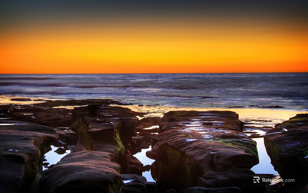 Wild Scenery texture