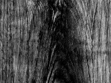 Black and White Bump texture (ID:ffajg67875)