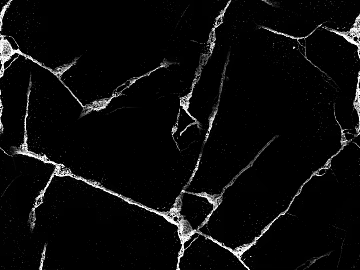 black and white scratch texture (ID:ffach125561)