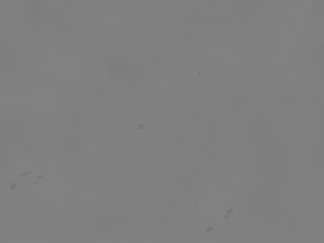 Cement texture (ID:ffagg63185)