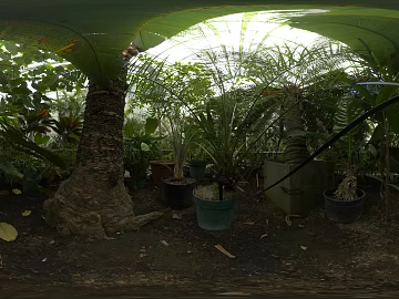 Greenhouse Plant Greenhouse Day HDR texture (ID:ffabg38911)