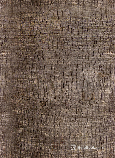 bark texture