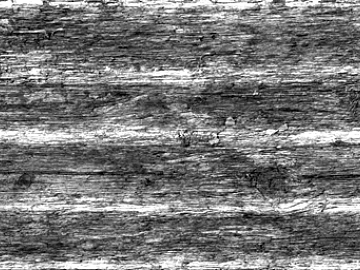 Black and White Bump texture (ID:ffabg23498)