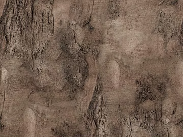 bark texture (ID:ffach492216)