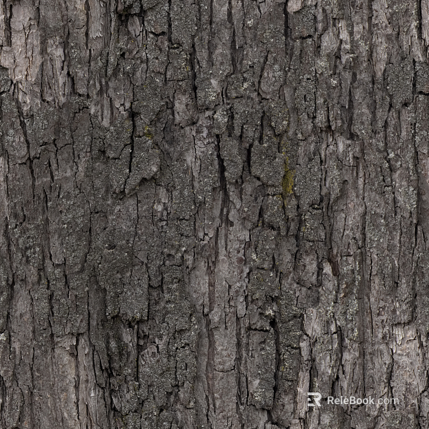 bark texture