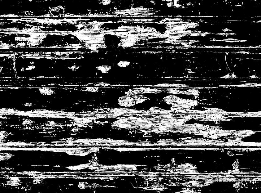 Black and White Bump Wood Grain Black and White Bump texture