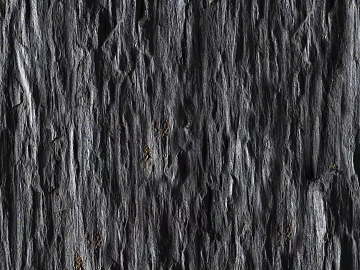 bark texture (ID:ffaeg76349)