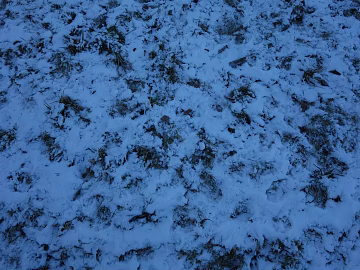 Snow texture (ID:ffaeg85843)